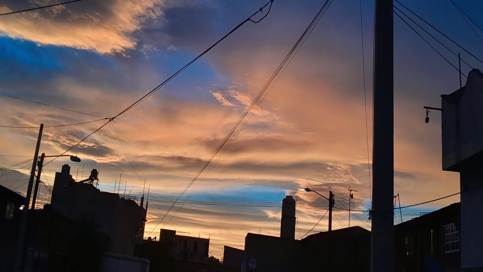 1000165878.jpg