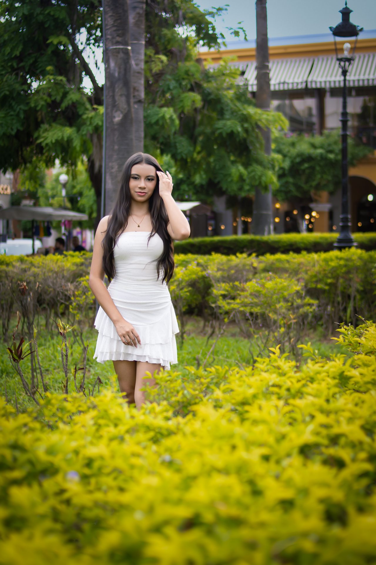 SESION PRE-XV