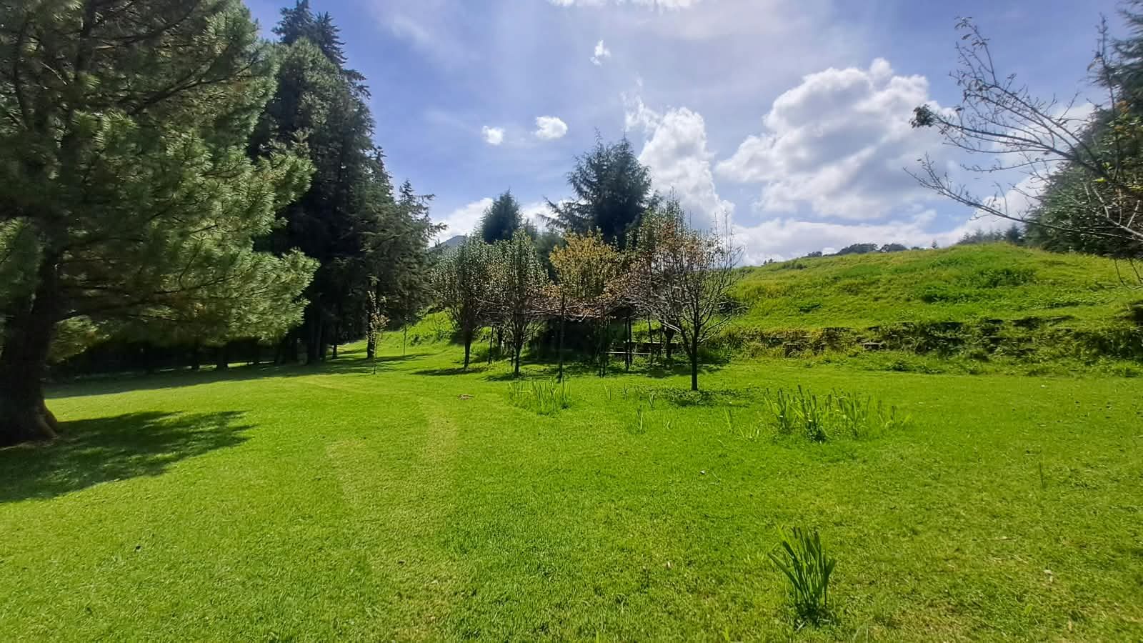 Paisaje.jpg