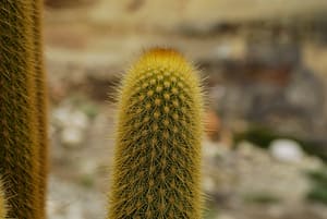 DSC_1151LR.jpg