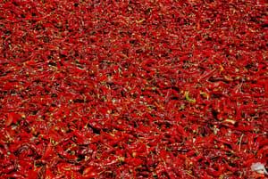 DSC_1898LR.jpg
