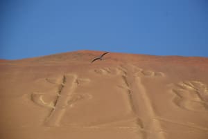 DSC_2693LR.jpg