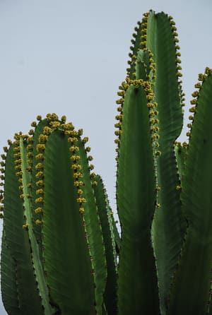 DSC_1193LR.jpg