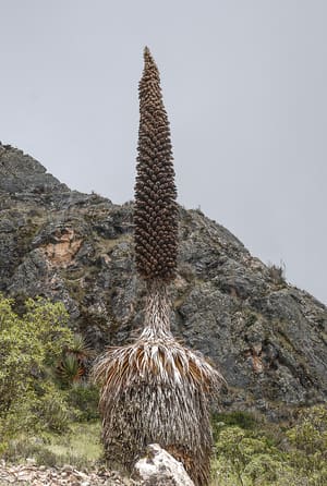 DSC_1269LR.jpg