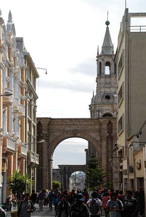 DSC_3317LR.jpg