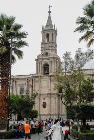 DSC_3339LR.jpg