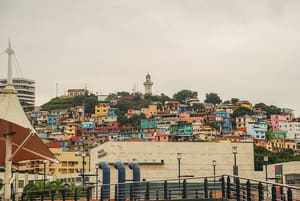 DSC_0428LR.jpg