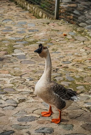 DSC_0562LR.jpg