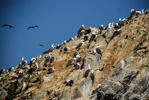 DSC_2806LR.jpg