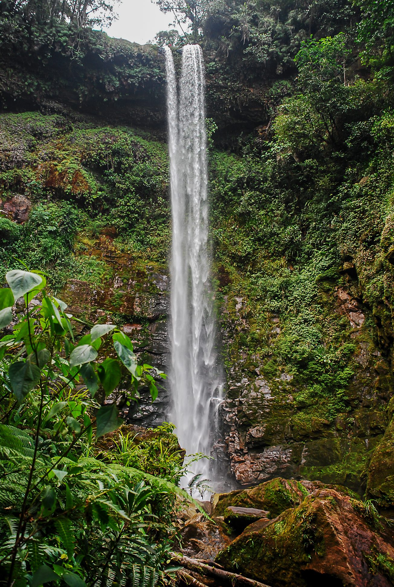 DSC_0145LR.jpg