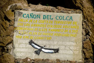 DSC_3364LR.jpg