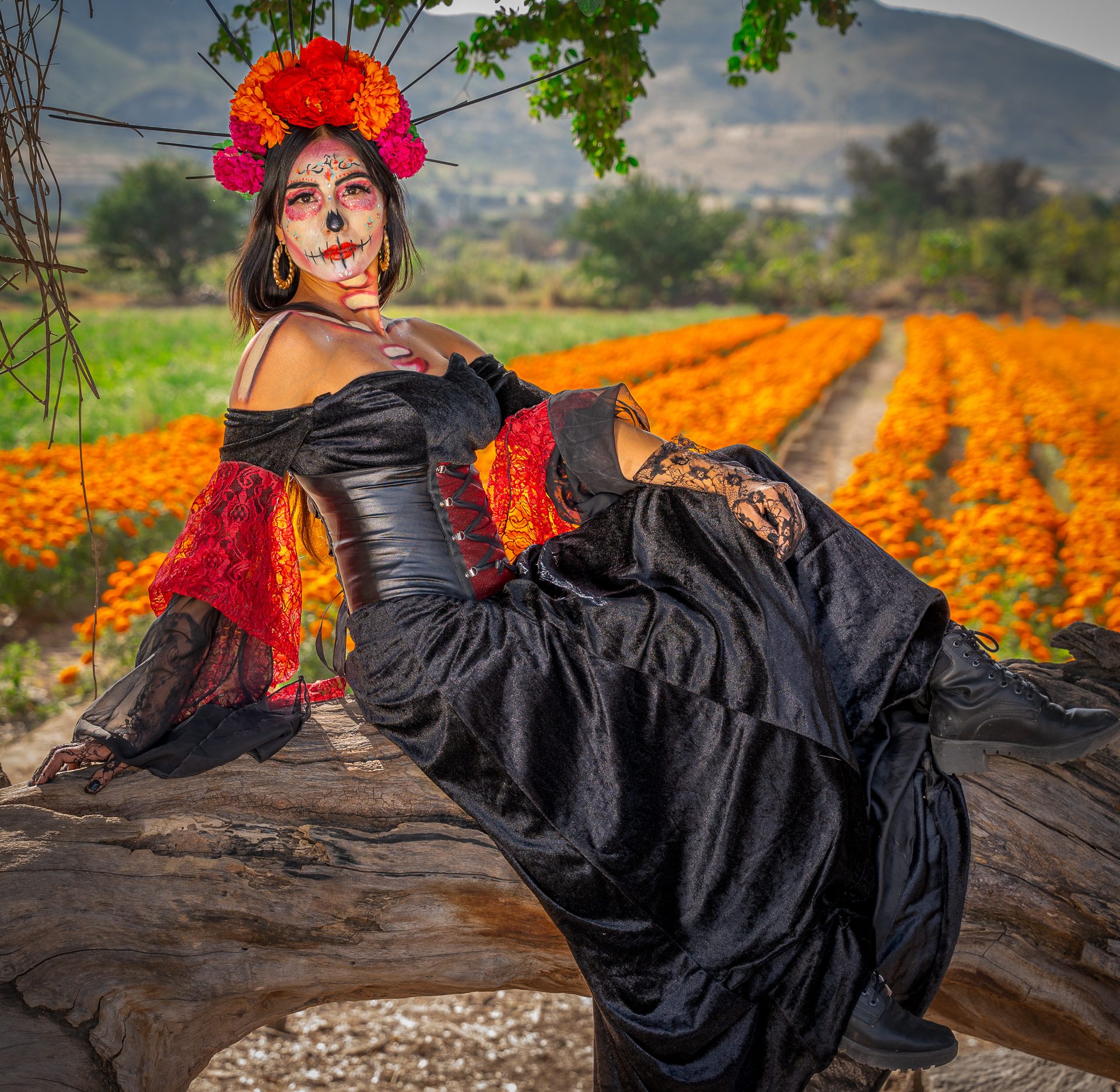 DSC04311-Edit-Edit-Edit.jpg