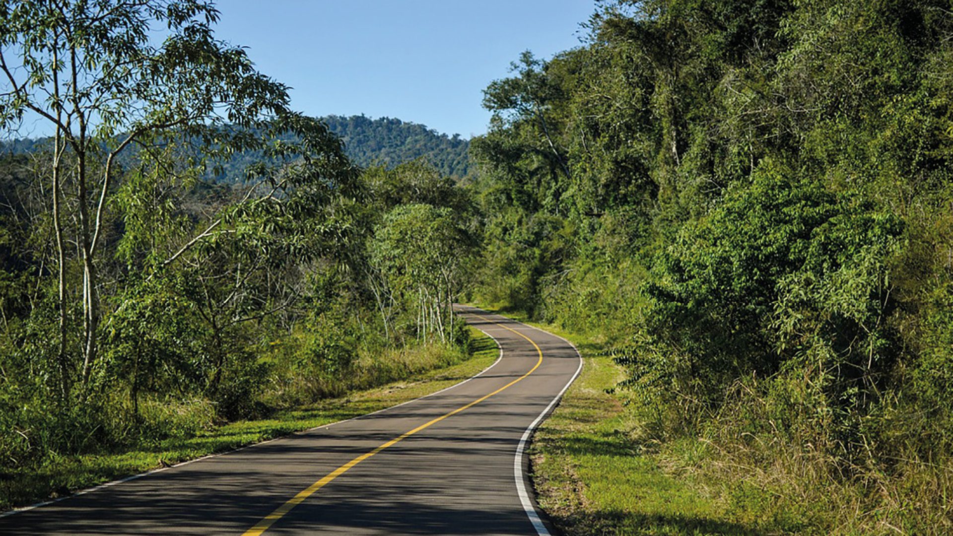 PAISAJE.jpg