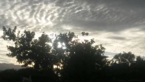 20161021_060111.jpg